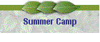 Summer Camp