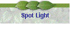 Spot Light