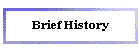 Brief History