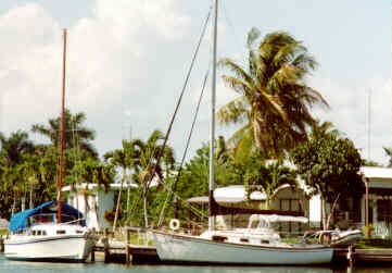 Sailors at the Dock