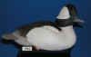 Bufflehead Drake - 1983