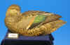 Greenwing Teal Hen - 1988